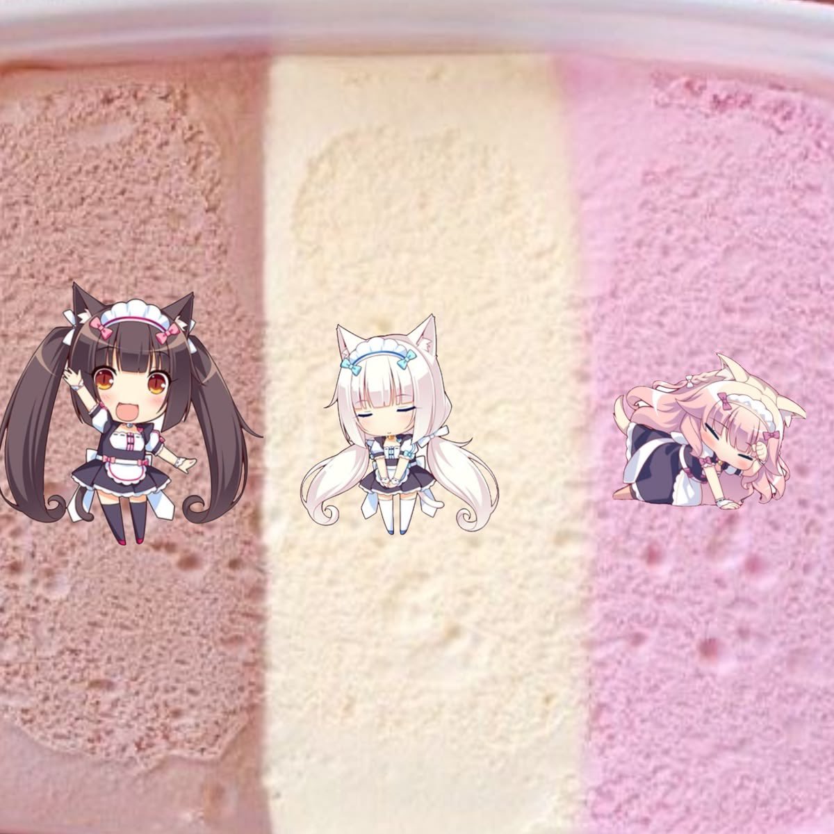 myokoluv's tweet photo. me ordering Neapolitan ice cream always reminds me of the nekos https://t.co/rnC1FDy6qL