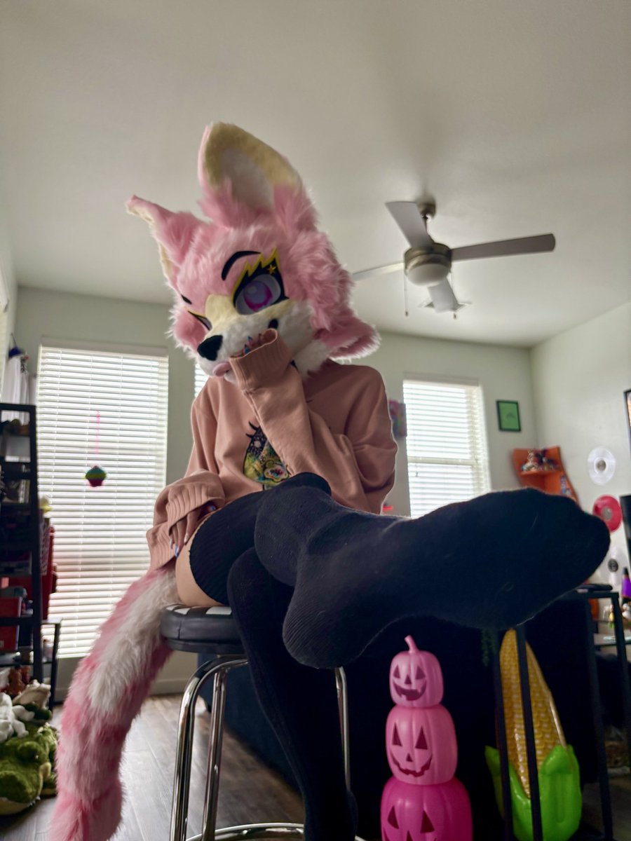 lemonsharkyfox's tweet photo. U~U first real twitter post of many!! https://t.co/RXwZLXv7ia