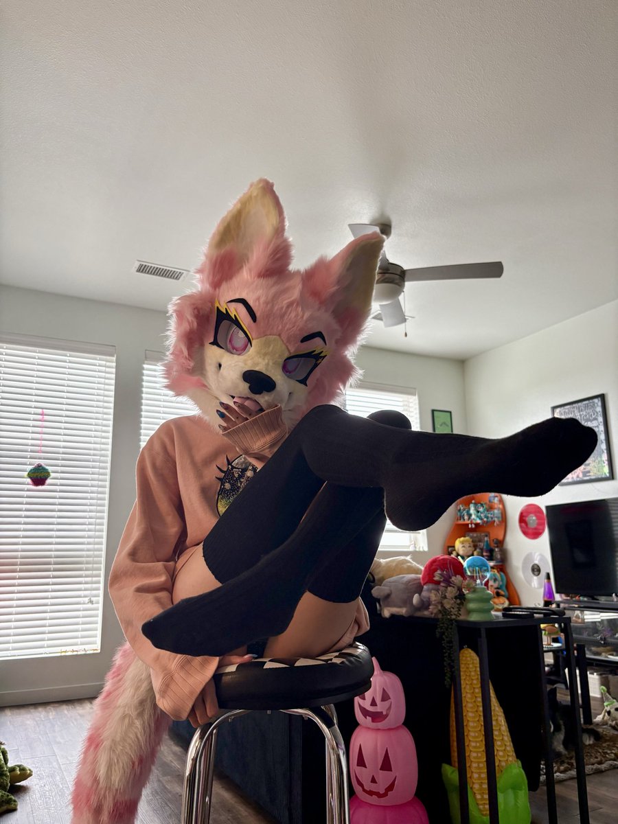 lemonsharkyfox's tweet photo. U~U first real twitter post of many!! https://t.co/RXwZLXv7ia