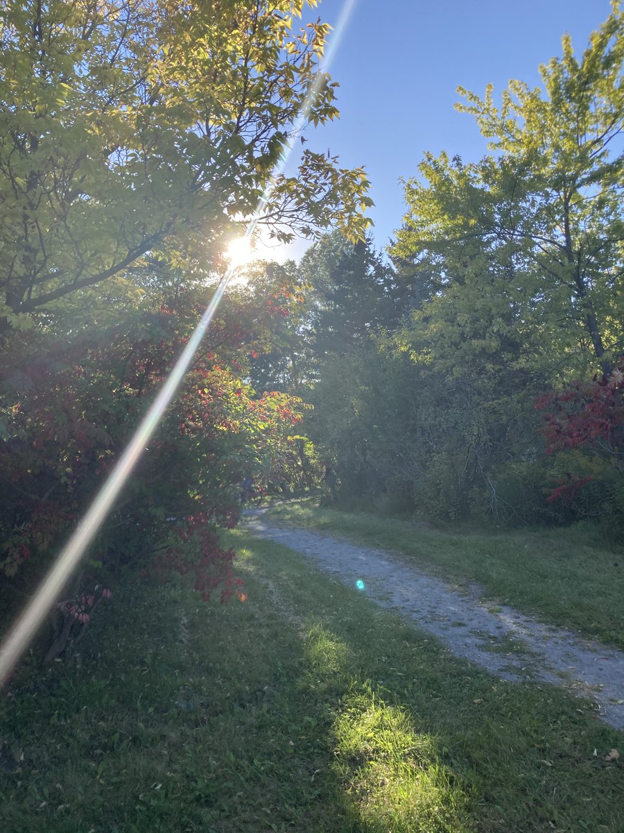 msbjacobs's tweet photo. #educatorsONtherun #RWRunStreak Day 2492 A wonderful 3 miles (5 km) late afternoon run to celebrate the first full day of fall. My reward was a close view of a heron and (I think) a yellow throated vireo. #RunEveryDay https://t.co/pl1130gflL