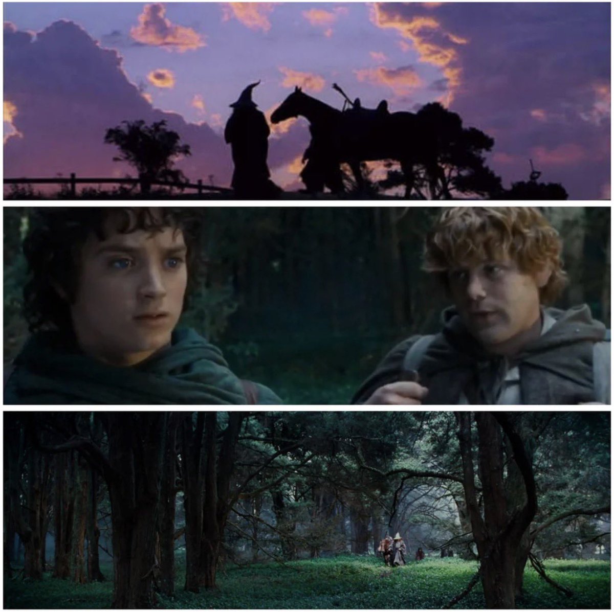 TolkienWorldG's tweet photo. September 23rd: the day Frodo leaves the Shire and begins his journey. https://t.co/AIUvDSY3wb