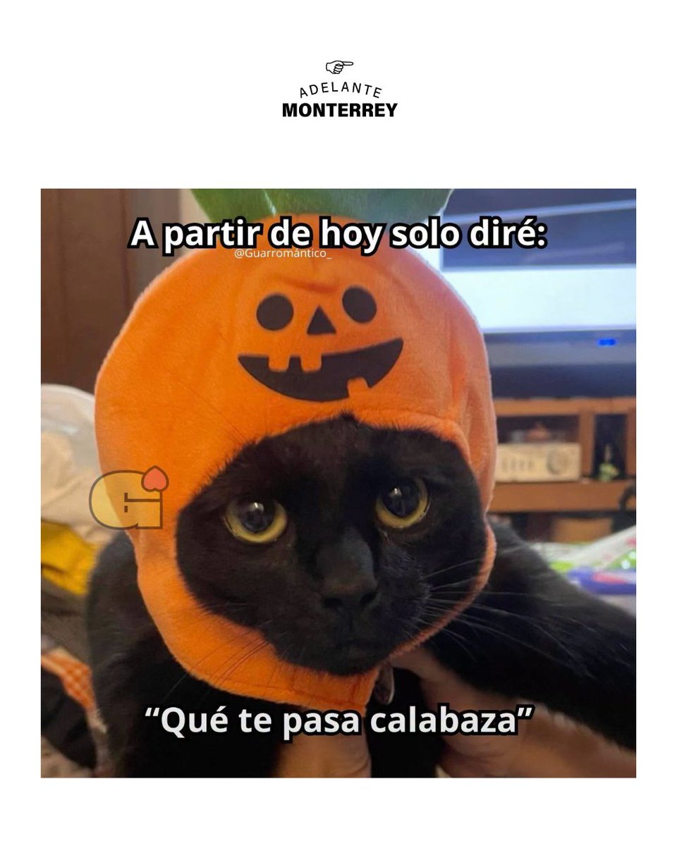 AdelanteMty's tweet photo. A partir de hoy 🎃
#Halloween #Meme #Mood #Humor https://t.co/NOAsxLYgTj