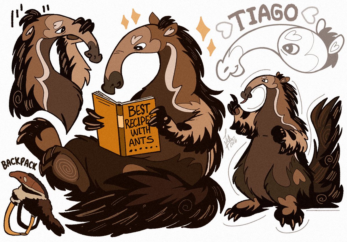 schumisnoopy's tweet photo. everybody say hi to tiago the giant anteater https://t.co/aLQUu5Uk2C