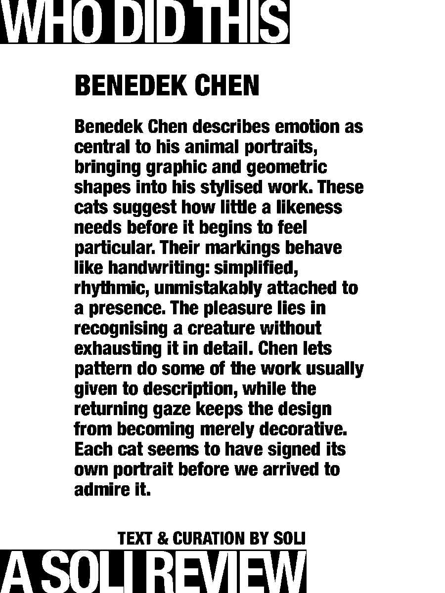 solisolsoli's tweet photo. Read a cat’s handwriting · Benedek Chen https://t.co/HtWoZpkRF5