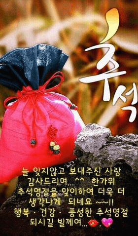 murimi2026's tweet photo. 추석연휴가 시작됐네요 다들 즐거운 한가위 되세요 늘 감사드리며 . . https://t.co/1pqWGPunFa