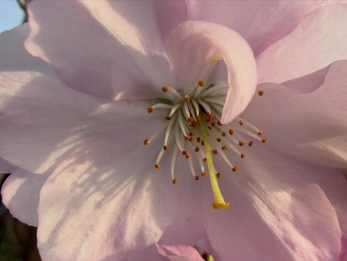 duduloboSpa25's tweet photo. Spring has arrived. https://t.co/0UtTnuJM2D