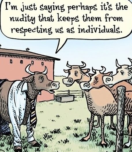 jbm32753's tweet photo. 🌜NiteyNight🌛 Resister Sisters and Brothers👍🙏❤️❣️ Joke of The Night For All Resisters ❣️#Resist🔥#VOTEBLUE2026
#TheResistance #RETWEET❤️🇺🇸 https://t.co/ZqG46nrsWX