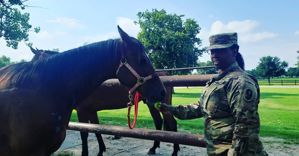 jose_comenta's tweet photo. Fort Sill’s horses support parades and shows. Met Django today as he recovers from an injury. He enjoyed an apple and carrots from the Sarge. https://t.co/014mgGEP30