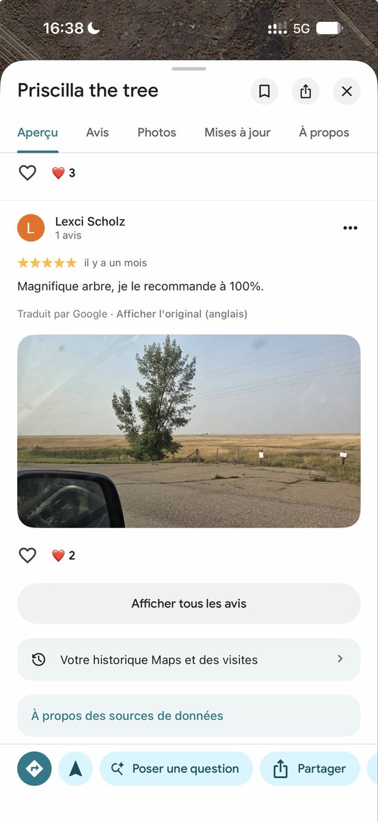 MathieuMenut's tweet photo. Actuellement sur la transcanadienne en direction de Calgary où le mot « vide » prend tout son sens, on remerciera les avis Google Maps laissés sur les rares parkings et arbres pour se distraire un peu 😎 https://t.co/iGDAgeYXpm