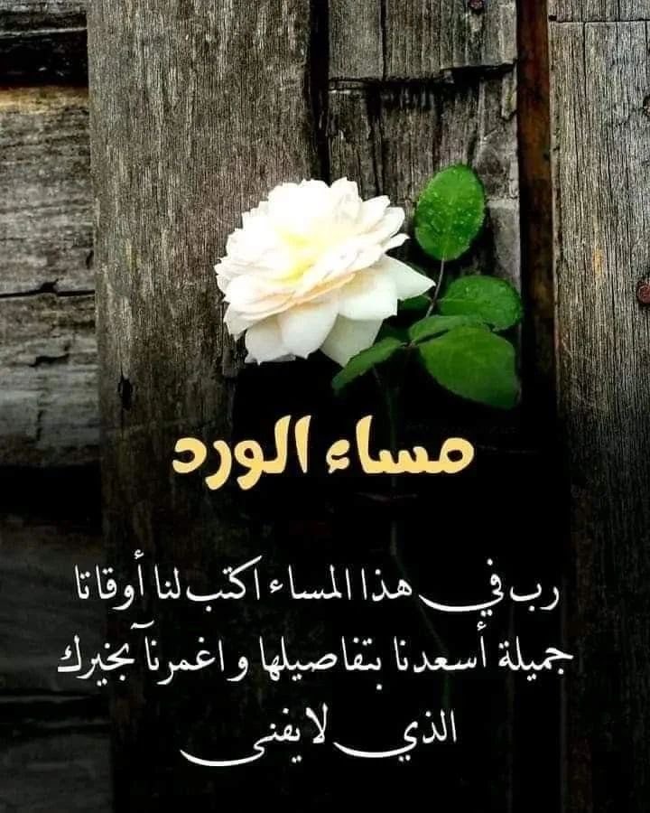 RLALWAFI's tweet photo. مساءٌ يليق بقلوبكم الجميلة وهدوء يلامس الروح
وفرح صغير يكبر في تفاصيل المساء،
وأمنيات يخبّئها القلب لعلّها تزهر قريباً🤍 https://t.co/MOURgWPhJG
