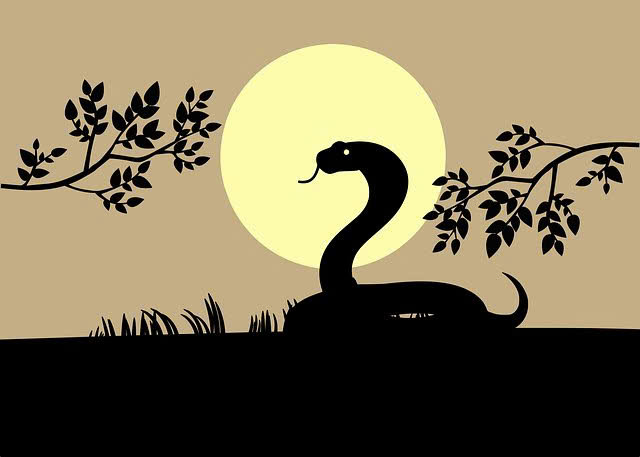 RogerGomez2p1's tweet photo. keeping things simple helps me stay focused and avoid unnecessary stress 🈶 https://t.co/9nMc0YnJqc