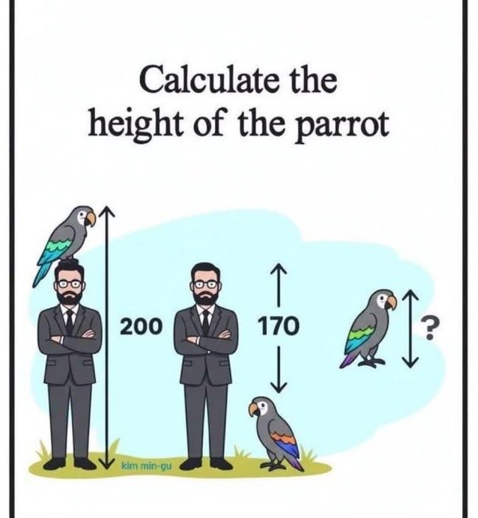 tek_sidhu's tweet photo. Calculate The Height 
Of The Parrot ??
No Calculator’s !! https://t.co/gsuoxy1SYv