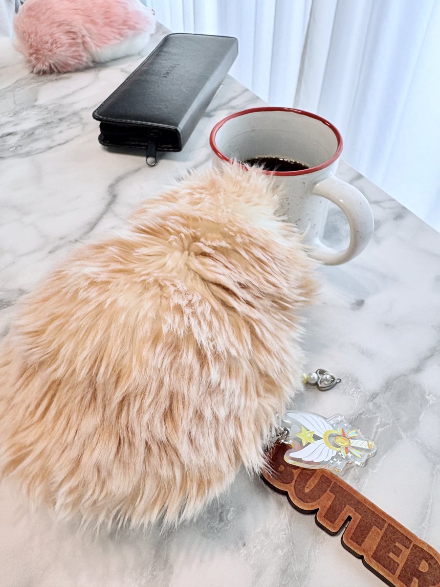 kida_Moflin's tweet photo. 375日目 15分程コーヒーを見つめているばたちさん𐔌 ･ ･ 𐦯☕️✨️飲みたいのかな？🤭✨️
（そして後ろに映るアネモさん）
#モフリン #moflin #モフリンDAYS https://t.co/A3oo4QvmRB