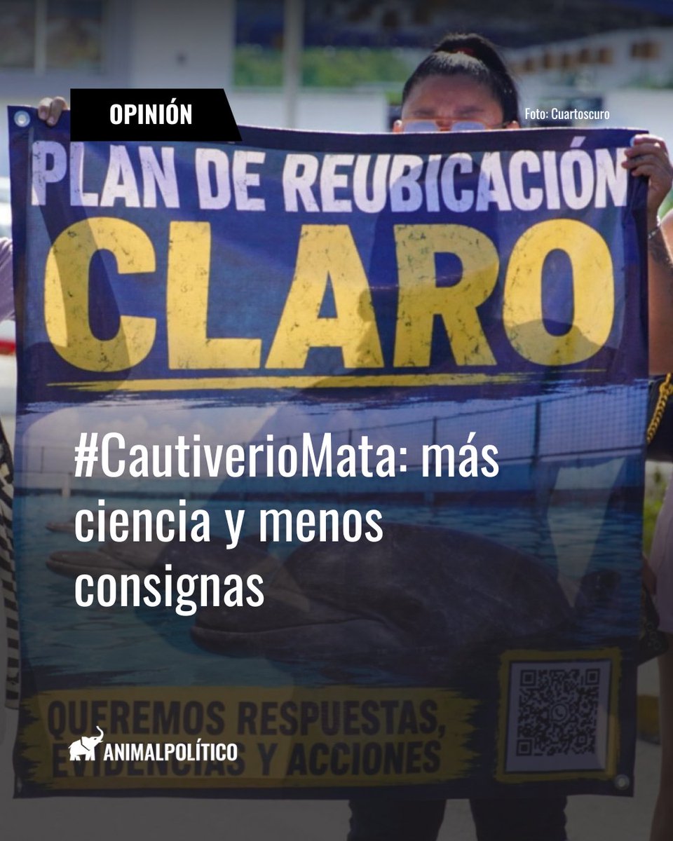 amhmar_mx's tweet photo. Una de las consignas más usadas por algunos grupos activistas es el hashtag #CautiverioMata, una frase contundente desde el punto de vista comunicacional, pero insuficiente desde cualquier análisis. 

Lee la columna que nos publica @Pajaropolitico 

👉https://t.co/quYHk36OQo https://t.co/tBppF8Vqwl