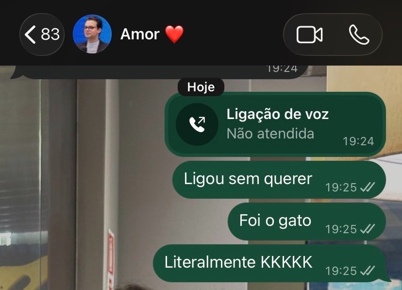 deborah_saless's tweet photo. A vida com um gato filhote em casa tem sido bem tranquila graças a Deus https://t.co/9BuIz5CgFY