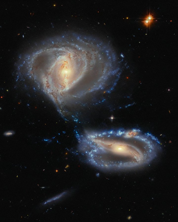 konstructivizm's tweet photo. How many colliding galaxies do you see in this Hubble Telescope image? The answer seems quite obvious: there are two—a large spiral galaxy in the upper-left corner and a smaller one in the bottom-right.

However, if you look closely at the upper spiral arm of the galaxy at the bottom of the frame, you can spot a distinctive knot that differs in color from its surroundings. Redshift analysis has revealed that it is not part of that galaxy but a separate entity. In all likelihood, this is a third galaxy also involved in the collision; it is simply hidden from our view due to its position relative to Earth.