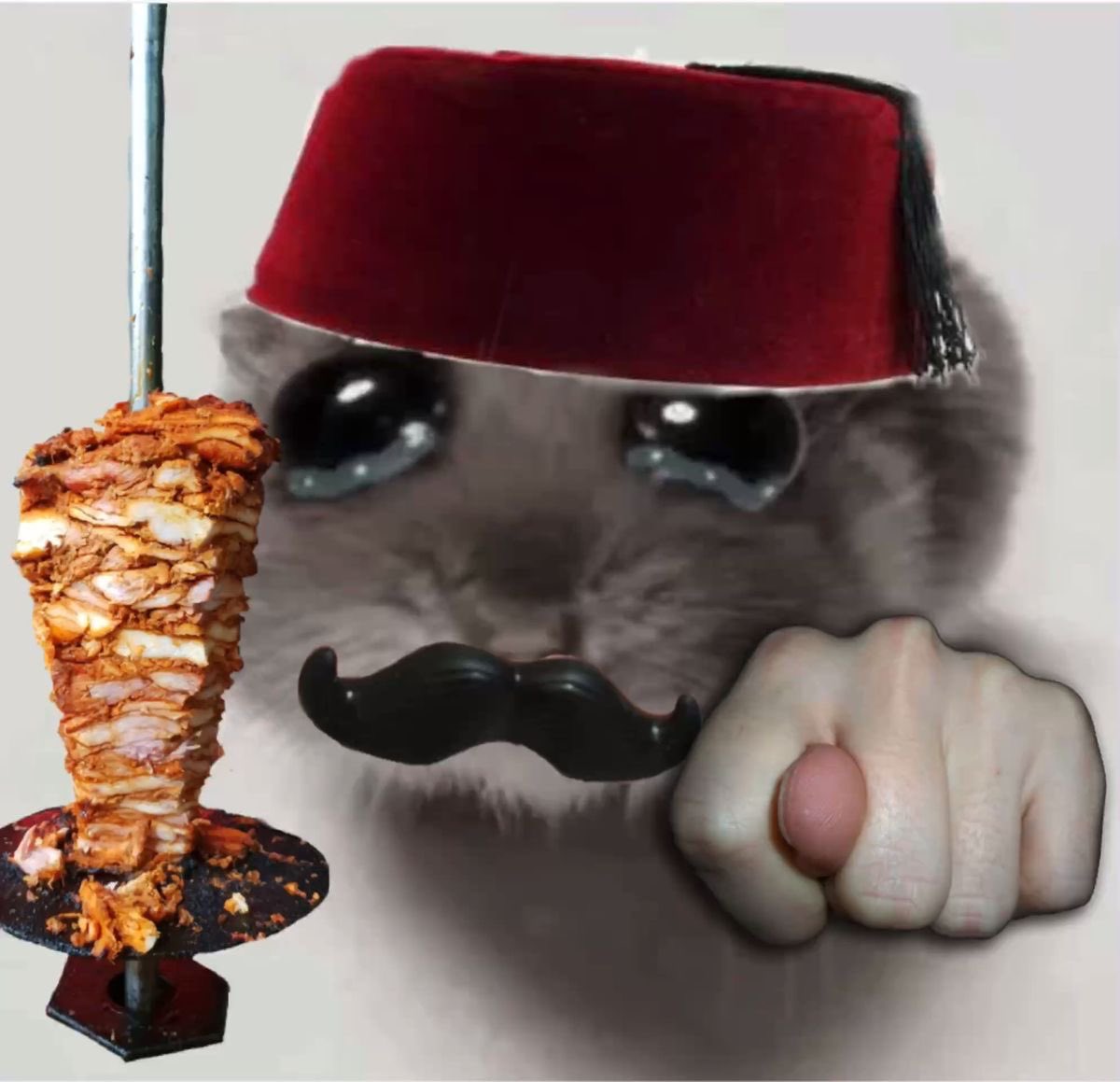 TengizQaratuman's tweet photo. No more kebabs for you from now on @PdxInteractive https://t.co/hrw0R8Rm6I