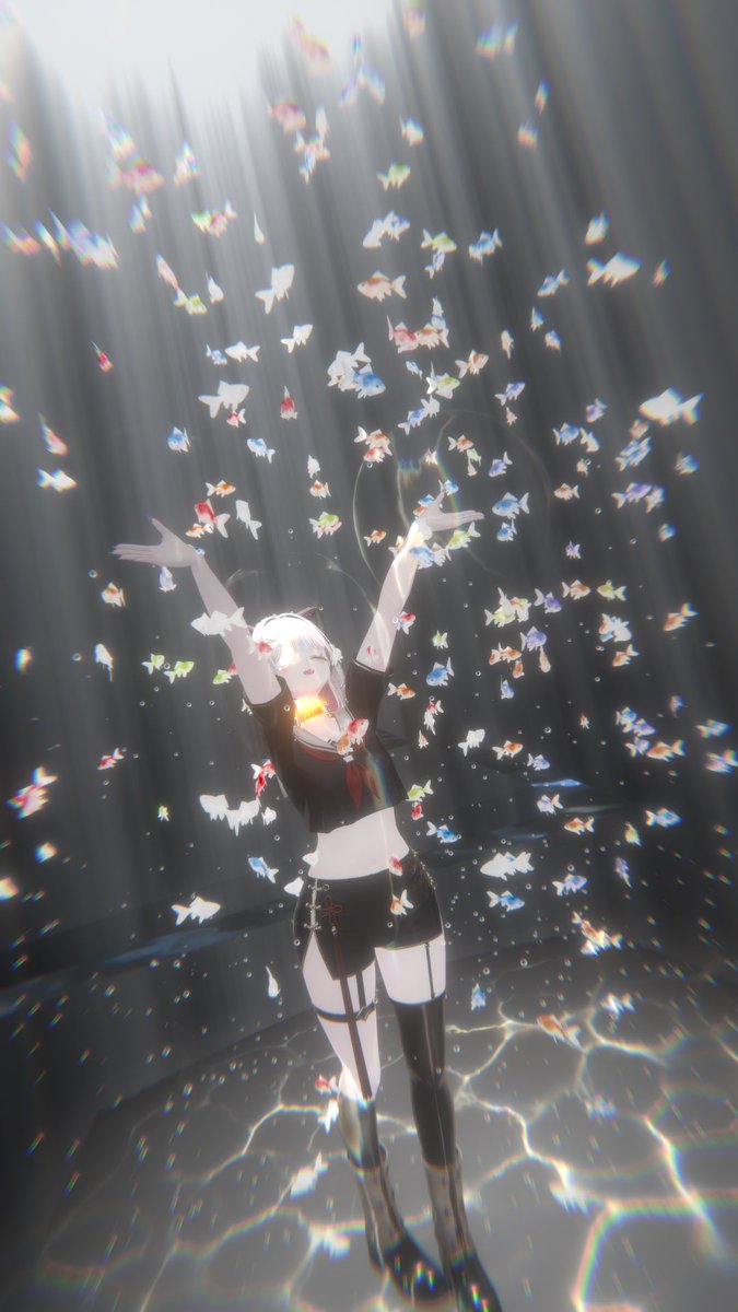 Maiy_v's tweet photo. お魚綺麗🐟 https://t.co/DNtxB2YjU0