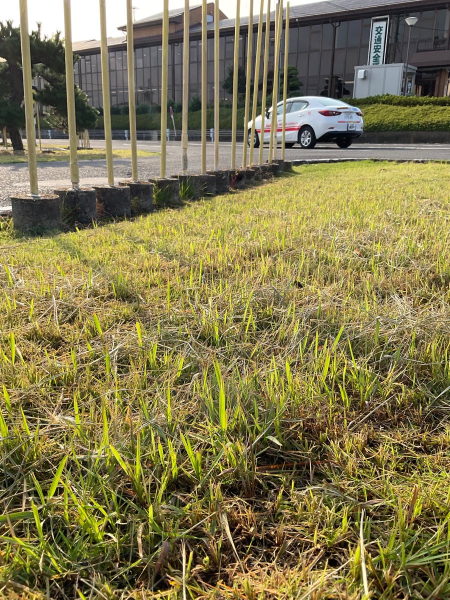 NaraMotorSchool's tweet photo. おはようございます☀

コースの芝生🌱が
綺麗になりました。

気持ちもさっぱり
( ´ ▽ ` )

本日の空席情報です。
本日は各時間
キャンセル待ちです。
ご希望の方は
3番カウンター
までお越し下さい。

#ならじ
#芝生
#空席情報
#きれい
#さっぱり https://t.co/cVhs5E68IM