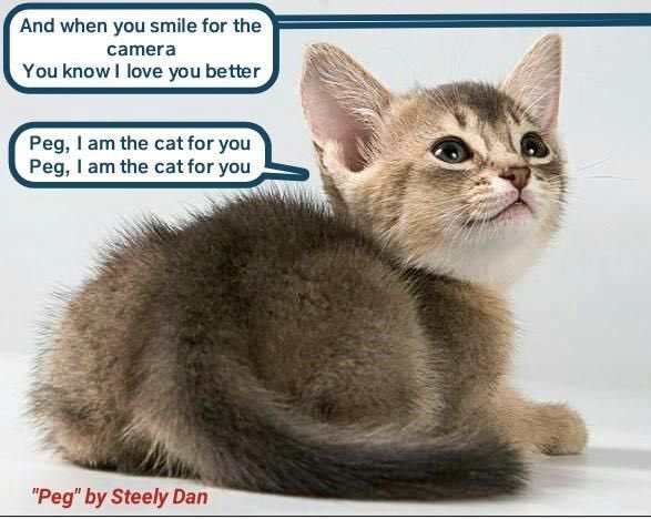 watersonazareth's tweet photo. HAPPY BIRTHDAY TO MY FAVOURITE ALBUM OF ALL TIME "AJA" BY STEELY DAN https://t.co/DWZ0L4RmU8