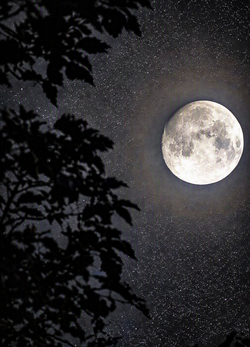 GarethJonesCWL's tweet photo. 🌙 When the moon takes centre stage, the whole night feels a little more magical. ✨
A quiet moment beneath a sky filled with stars — where darkness, light and imagination meet.

Beautiful shot from the back garden Pixel Pro 8
               https://t.co/AK6P7cBugA https://t.co/gBA7XDYoW4