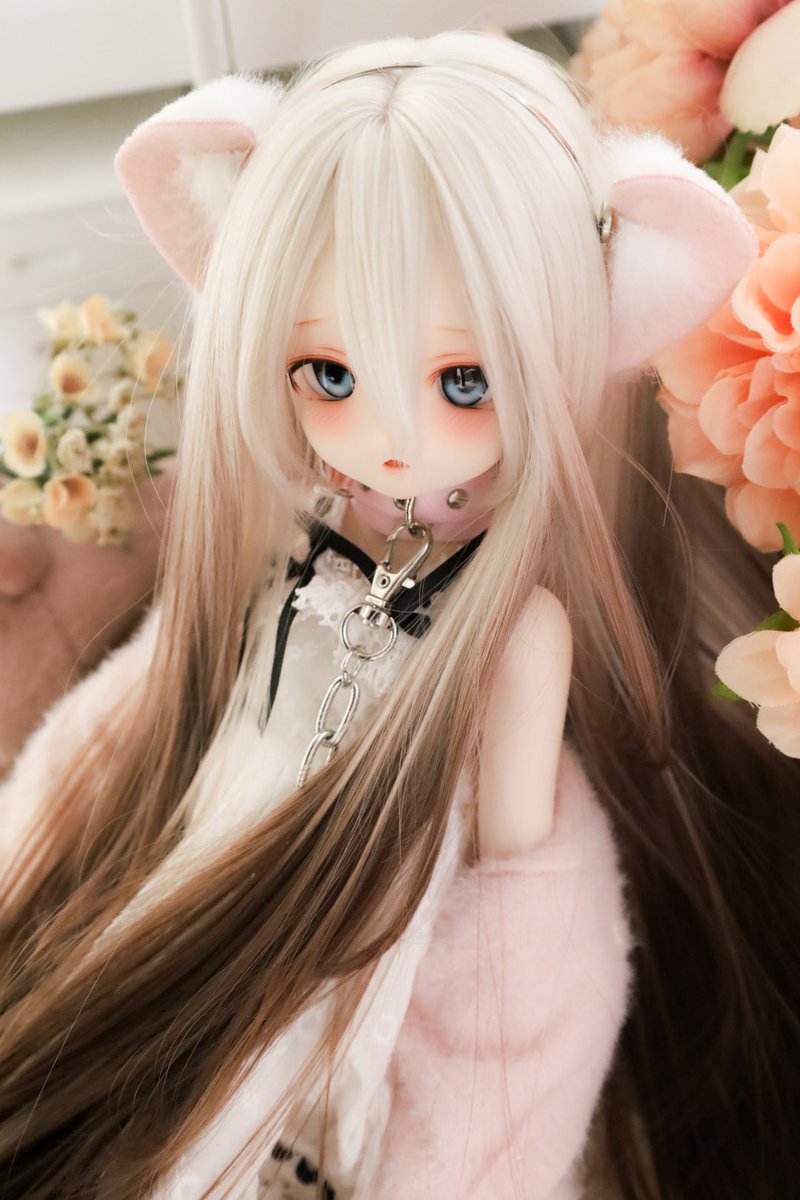 huyu32222726's tweet photo. ご主人さままちのねこ🐈ちゃま♡

#みとねるっ子 https://t.co/L1gq18HIY4