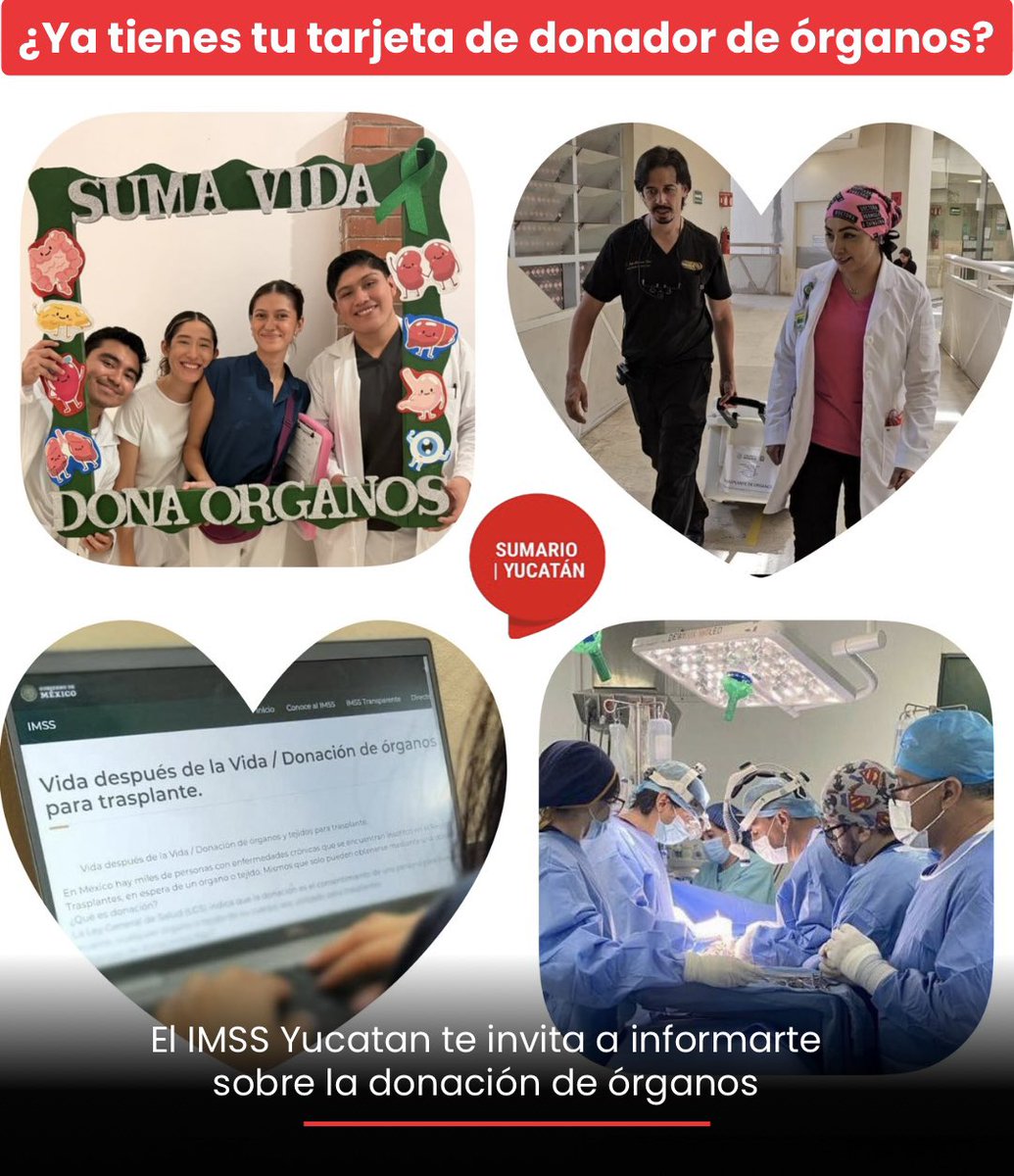 sumario_yucatan's tweet photo. 🙌🏽SALVAR VIDAS: VISIBILICEMOS, APRENDAMOS Y DONEMOS NUESTROS ÓRGANOS🙌🏽: https://t.co/yUeNhcmvrM
#semananacionaldedonaciondeorganos
#visibilizar
#informar
#Donar
#donatusorganos
#salvavidas
#yucatan
#periodismohiperlocal https://t.co/fG4tJCwDlj