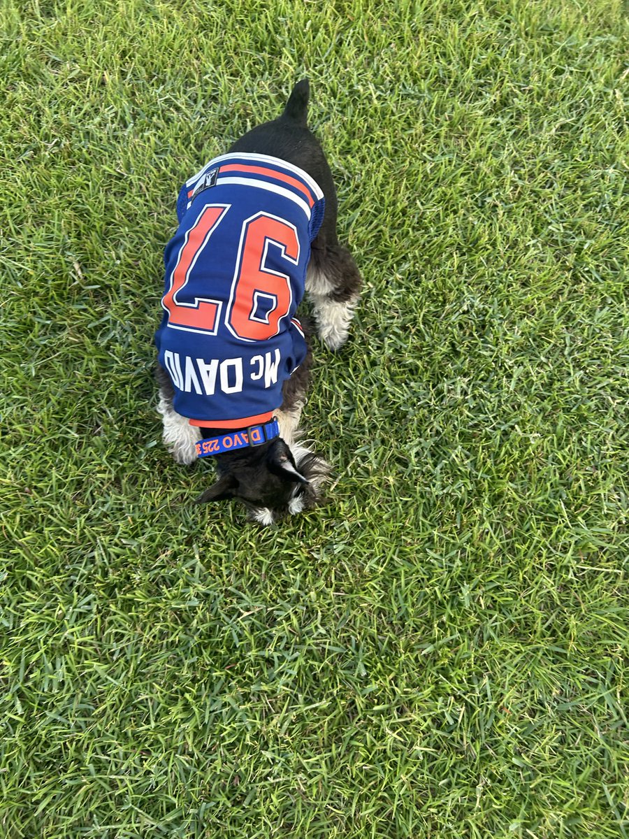 Laura22594338's tweet photo. Hey @EdmontonOilers @NHL @cmcdavid97 meet Davo! He can't wait for the season opener Tuesday! #LetsGoOilers #StanleyCup https://t.co/z5T2sWDzwV