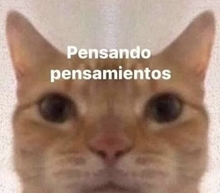 tlpboythoughts's tweet photo. aún tengo la tarjeta de mi ex en uber eats https://t.co/lYyYyALegA