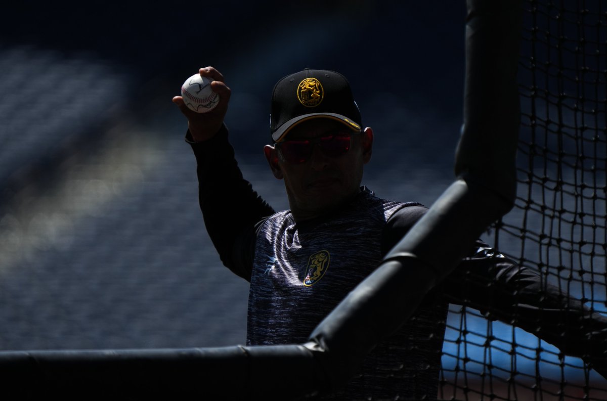 EdicionFinal's tweet photo. #lvbp | Leones del Caracas @leones_cbbc continua su preparación para la temporada 26-27 del béisbol venezolano, hoy se dio acceso a la prensa para empezar la cobertura de los entrenamientos. 

Fotografías | @fernandoioduber 

#edicionfinal #beisbol #venezuela #leonesdelcaracas https://t.co/M28HUdSEK5
