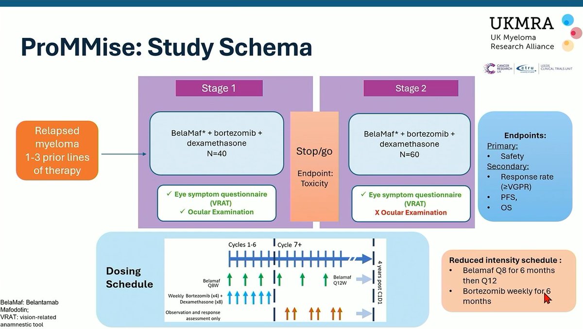 Multiple Myeloma Hub (@MM_Hub) — #IMS26 — ProMMise data slide