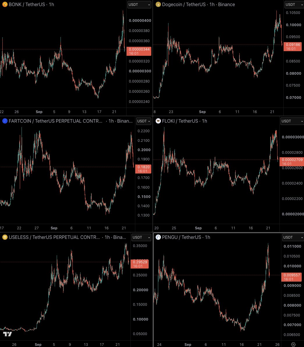 CastilloTrading tweet picture