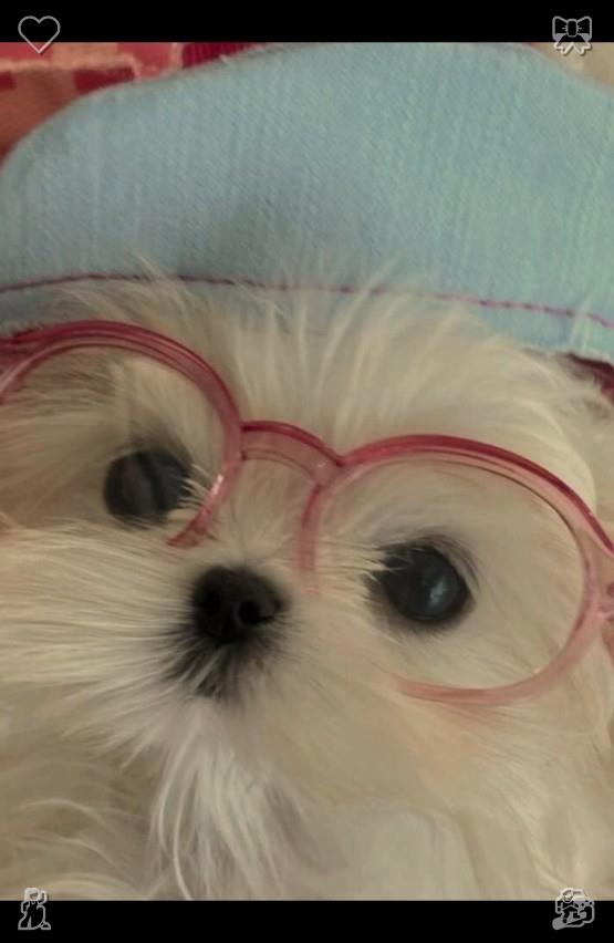 Mindlove116's tweet photo. Save slow unhurried spare free time trusted close pals share trivial daily funny stories laugh together collect sweet warm memories store safely deep within your inner heart fully🥓I am in love with the life I am building. https://t.co/YhajgB8LXT