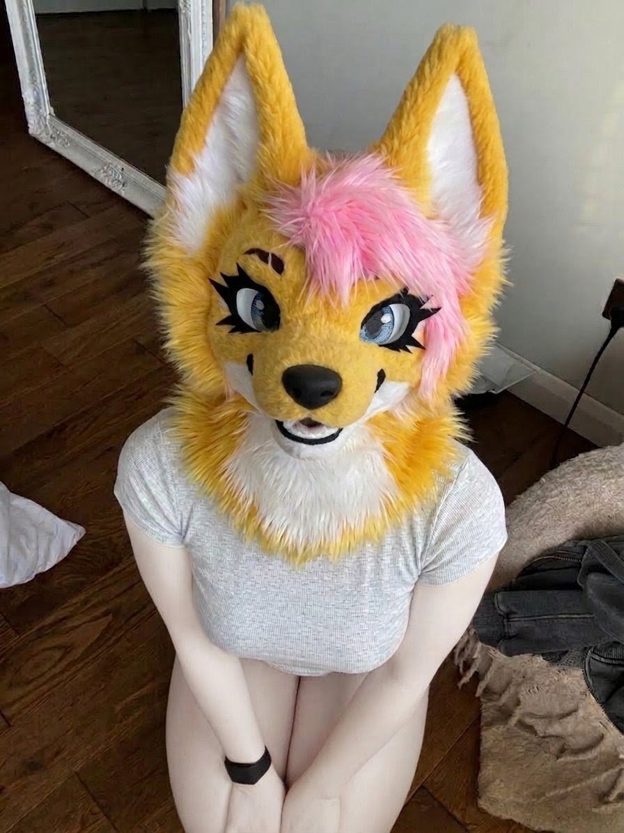 Dumb_Celine's tweet photo. Want me to give you a head?:p
#Furry #fursuiter #mursuiter #Furryfandom https://t.co/qUGbtel84S