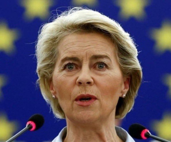 0ivankaTrump1's tweet photo. Elon Musk just called Ursula von der Leyen and EU leaders “traitors to their own people.”

Is Musk right, or is he going too far?

A) Absolutely right
B) Has a point
C) Completely wrong
D) Too early to say https://t.co/ndZhPaidLn