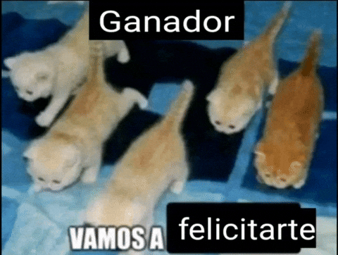 TripasVT's tweet photo. @ryuuyoki vamoooo https://t.co/cuWhlwdt3p