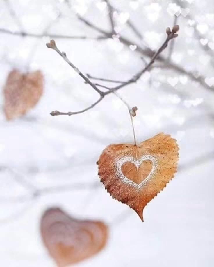 andy71soto's tweet photo. Las personas, los momentos y las etapas que se terminan, nos fortalecen y nos enseñan que la vida que merecemos, no es imposible....

Porque un interior en paz,  se refleja en un exterior más brillante 🥰🥰🥰

#AmorPropio 
#YOLO 
#Quiérete https://t.co/Yzv4EYp2CY