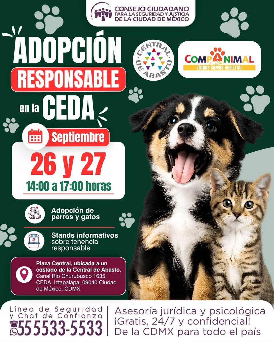 elconsejomx's tweet photo. 🐶🐱 ¿Buscas adoptar?
Este 26 y 27 de septiembre te esperamos en la Jornada de Adopción Responsable de la @CdeAbastoCDMX. Acércate a nuestro stand informativo, donde ofreceremos asesoría jurídica para orientar a quienes deseen reportar casos de maltrato animal.
#CompAnimal #GuauGuau #MiauMiau