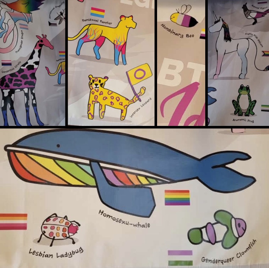 libsoftiktok's tweet photo. IT GETS WORSE

MORE images from the "LGBTQ Identity" banner hanging inside Winchester Public Schools (@WPSedu) in MA

- "Transgender Dragon" 
- "Genderfluid Giraffe" 
- "Demisexual Dragonfly" 
- "Pansexual Panther" 
- "Intersex Leopard" 
- "Nonbinary Bee" 
- "Asexual Pigeon" 
- "Progress Pride Unicorn" 
- "Aromantic Frog" 
- "Lesbian Ladybug" 
- "Homesexu-Whale" 
- "Genderqueer Clownfish"  

This is what they are pushing onto your children.  

You can contact the school here: 781-721-7000