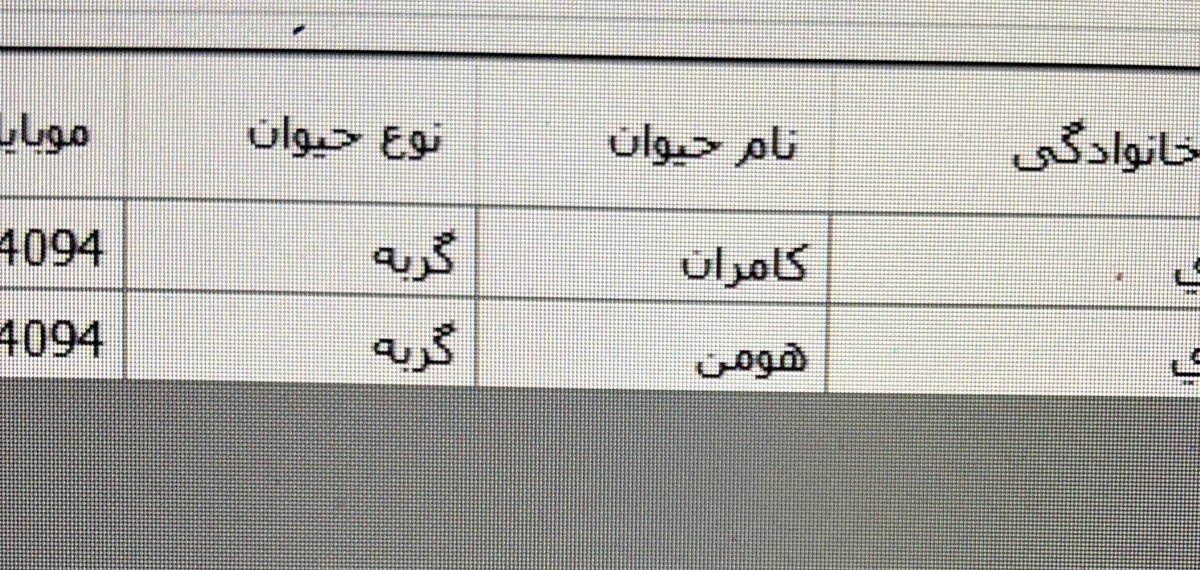 drghazall's tweet photo. امروز خیلی رندوم دوتا گربه اومدن بیمارستان اسماشون کامران و هومن بود. https://t.co/x6oshuZOPS