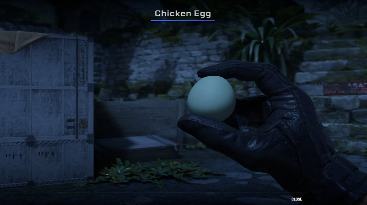 FokusFrxsty's tweet photo. why they added eggs to counter strike?? what the fuck is going on https://t.co/2V1SGFIhhH