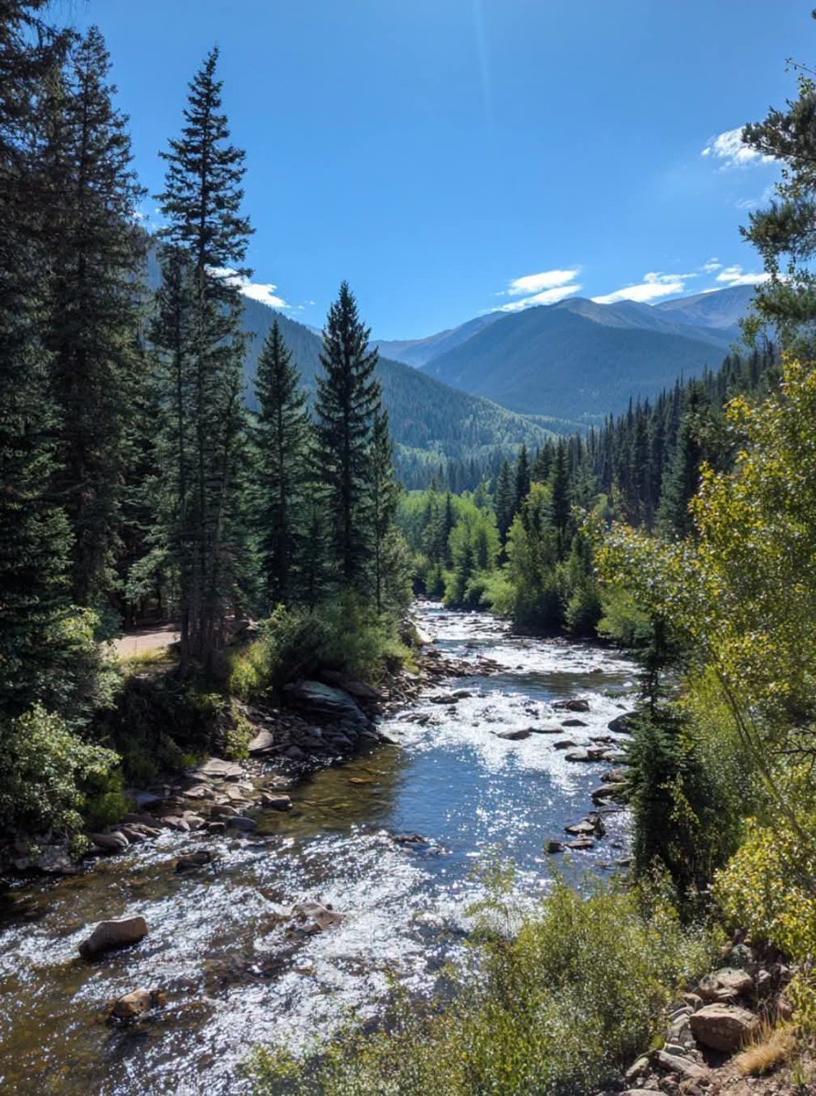 Elsie65789's tweet photo. Mountain beauty 🌲 https://t.co/r8JNR6RoRP
