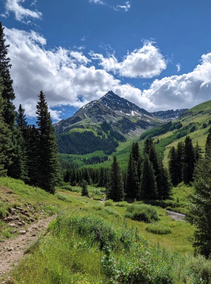 Elsie65789's tweet photo. Mountain beauty 🌲 https://t.co/r8JNR6RoRP