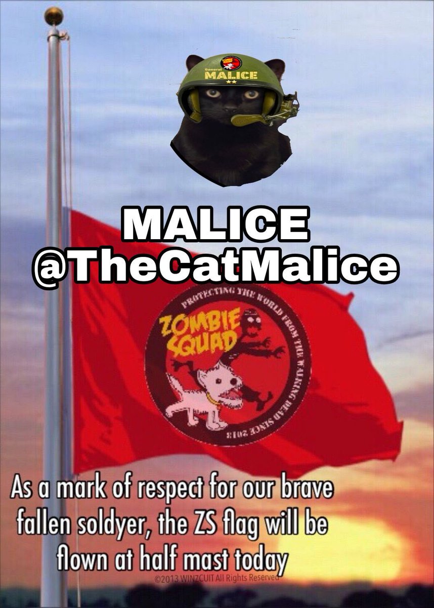 ZombieSquadHQ's tweet photo. It is with great sadness that HQ lowers the flag to honor brave, long-serving GENERAL MALICE @TheCatMalice, who has crossed OTRB🌈 to join #ZSHQ Immortal Brigade including fursibs PHANTOM and PANDORA.
MALICE served with pride, always willing to lend a paw, especially as a member of the Recruitment and HQ Admin Teams. 
Please pawtrol in MALICE’s honor – a very special pal who will FOREVER be in OUR HEARTS. Join HQ in sending love and support to his Fursibs Mayhem and Nyxy, Mom, Dad, family & friends.
ZOMBIESQUAD FOREVER🫡 #ZSHQ #ZSHQRT