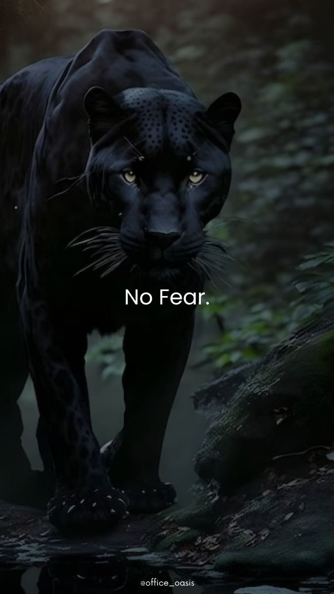 AEmmanuel22957's tweet photo. https://t.co/wkwO772noI