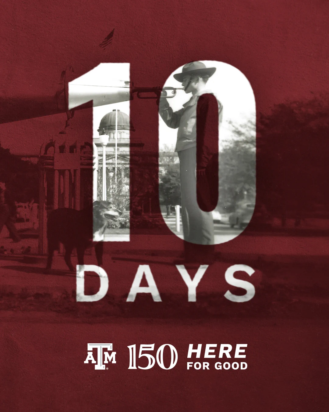 Texas A&M themed image featuring the number "10" and the word "Days" beneath it. A person is shown inside the number "0," interacting with an animal. The Texas A&M 150th anniversary logo and the phrase "Here for Good" are displayed at the bottom.