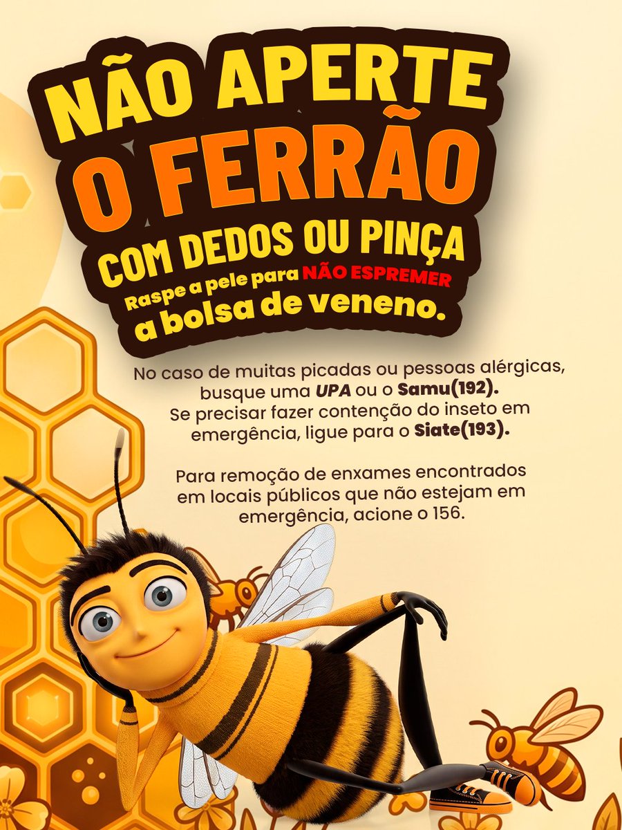 curitiba_pmc's tweet photo. Você deve ter visto o caso do ataque de um enxame de abelhas que virou notícia em todo o país. Mas você sabe o que fazer em uma situação dessas? Vem, que a gente te conta!

E a Prefeitura de Curitiba deseja melhoras para a criança vítima desse ataque. 💙 https://t.co/j3Mh0rEeUc