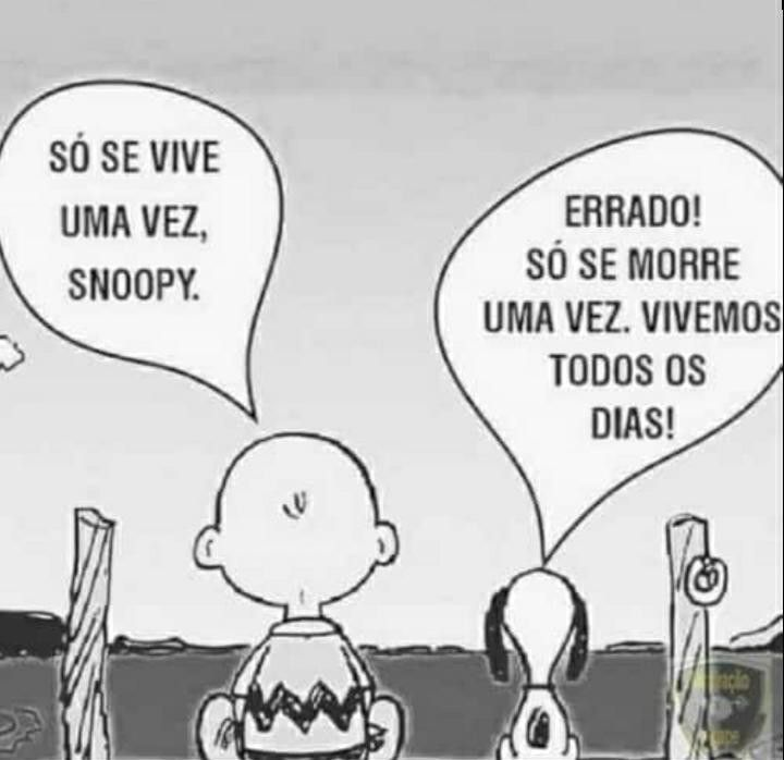 gozandoideia's tweet photo. https://t.co/Sbq1mEd03F