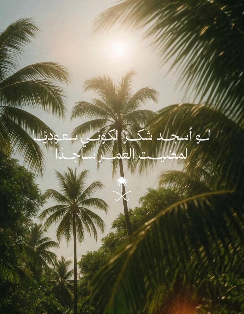 layanil11's tweet photo. الحمدلله اني سعودية💚 https://t.co/j5jqDo4Sof