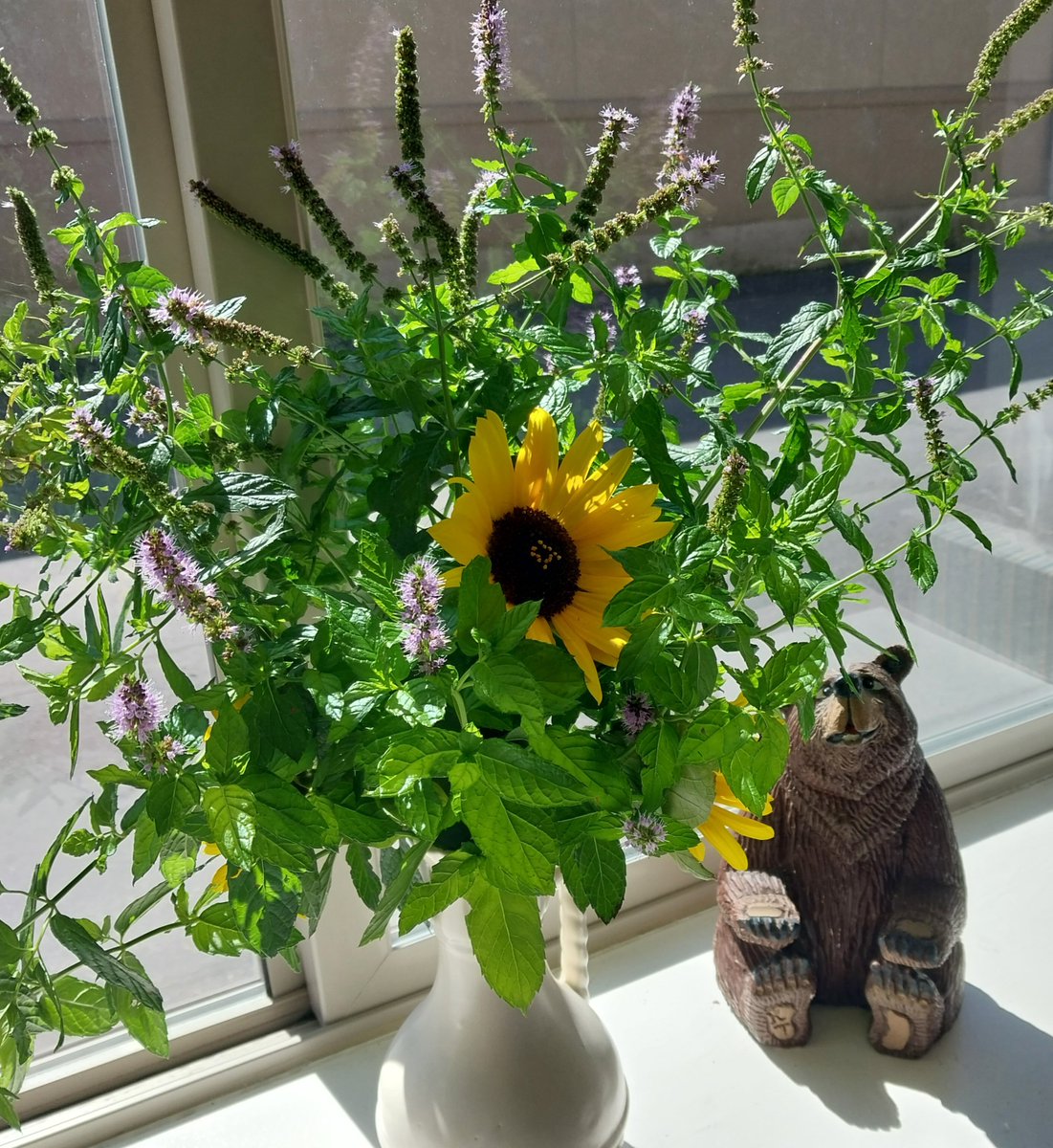 Hello_Im_Juls's tweet photo. Fresh garden flowers for the office 🐝 https://t.co/jNrX3mcXUw